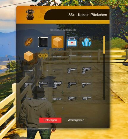 Inventory Hud V19