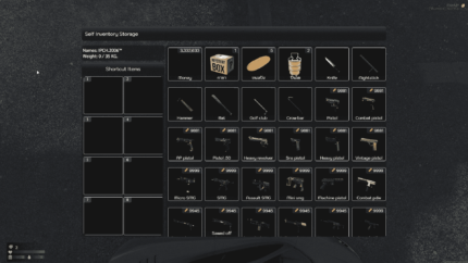 Inventory Hud V21 [Fast Slot][DayZ Inspired]