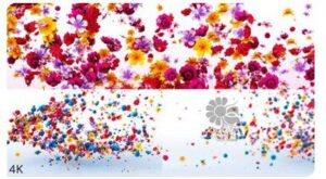 AE Videohive Flowers Logo Reveal